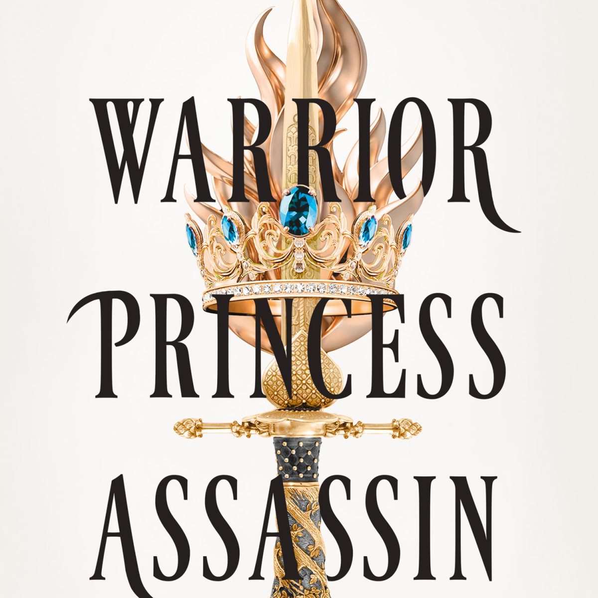 Review: Warrior Princess Assassin by Brigid&nbsp;Kemmerer